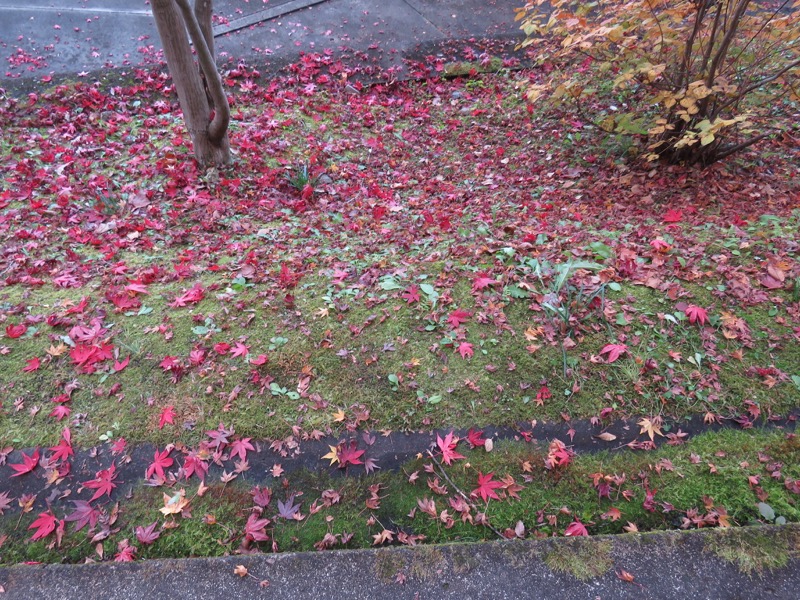 男体山〜袋田の滝