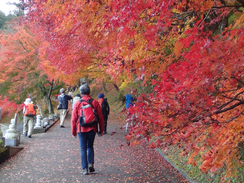 男体山〜袋田の滝