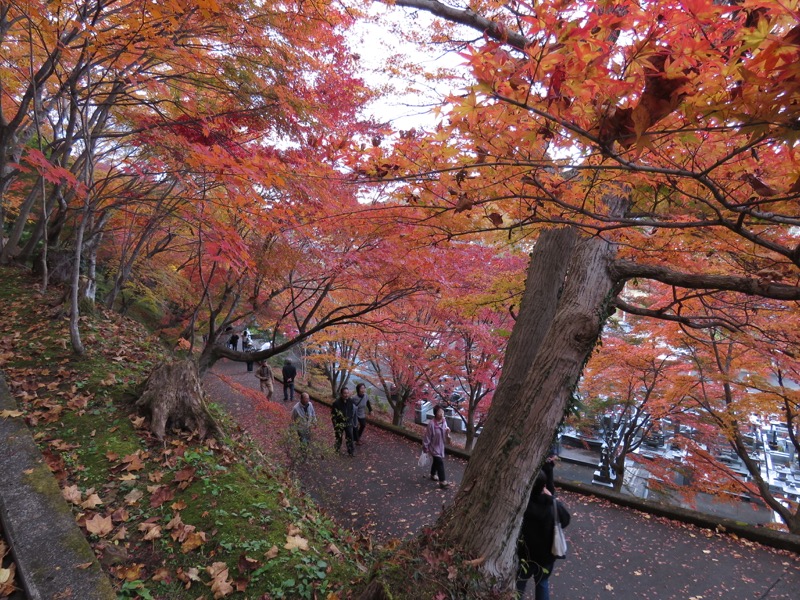 男体山〜袋田の滝