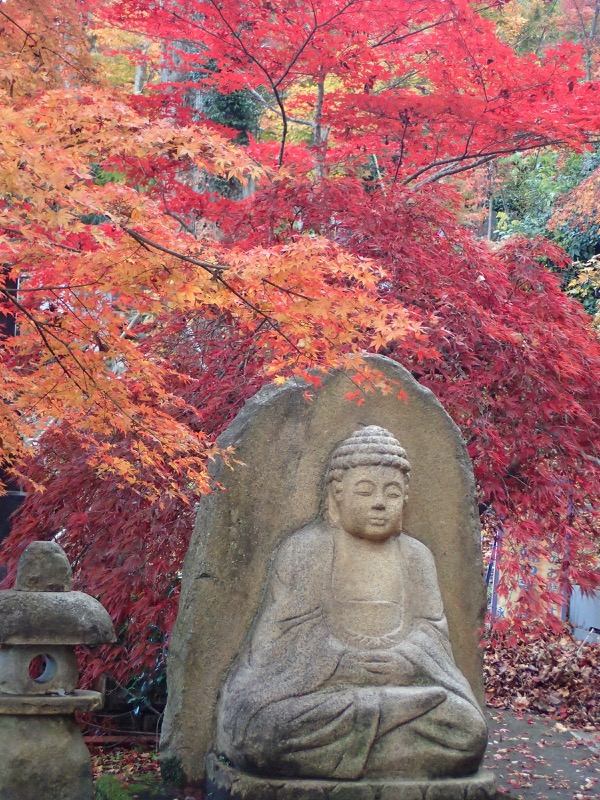 男体山〜袋田の滝