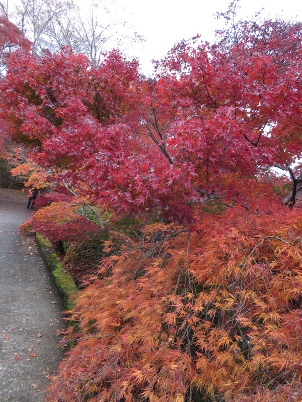 男体山〜袋田の滝