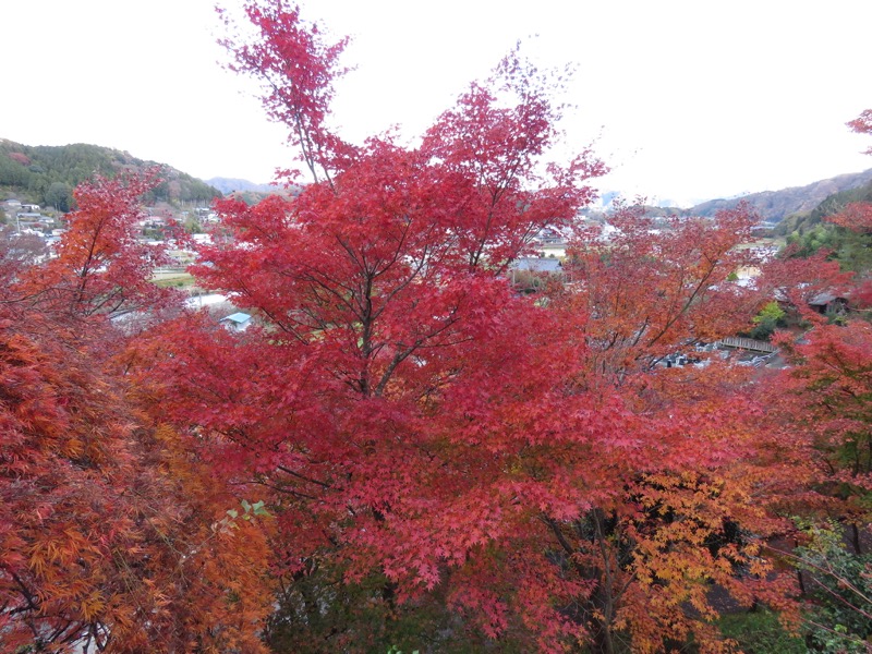 男体山〜袋田の滝