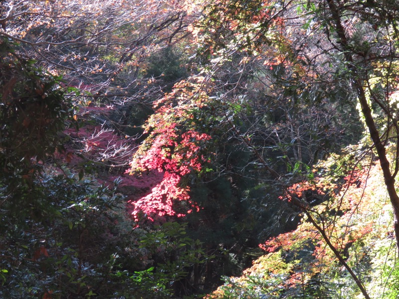 男体山〜袋田の滝