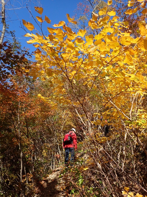 男体山〜袋田の滝