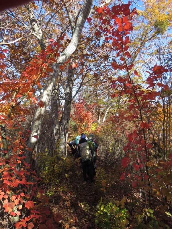 男体山〜袋田の滝