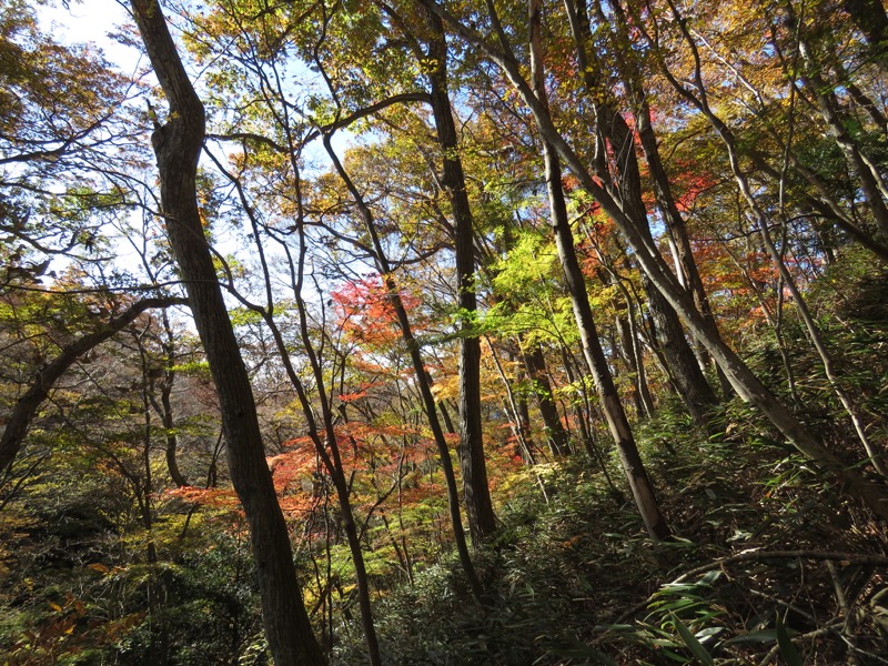 男体山〜袋田の滝