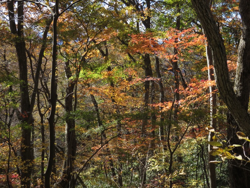 男体山〜袋田の滝