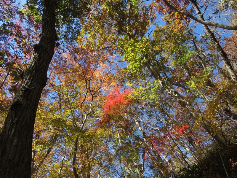 男体山〜袋田の滝