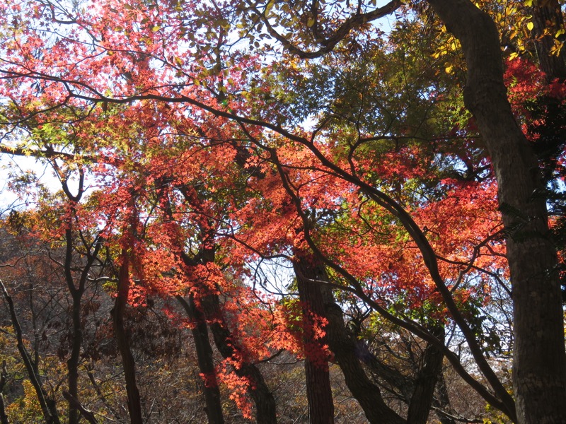 男体山〜袋田の滝