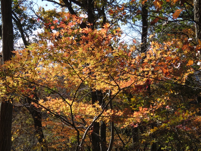 男体山〜袋田の滝