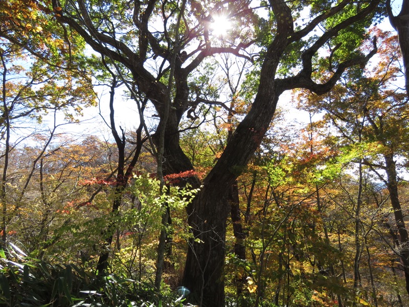 男体山〜袋田の滝