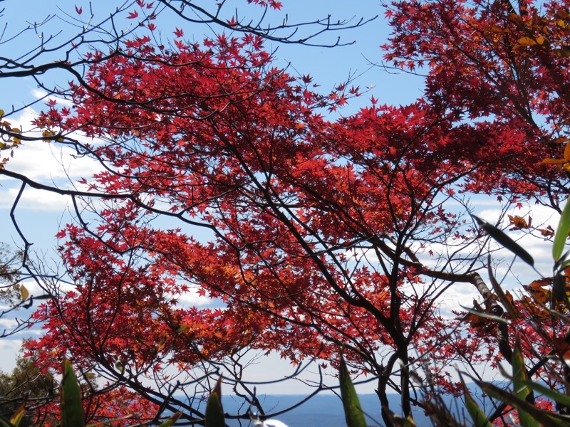 男体山〜袋田の滝