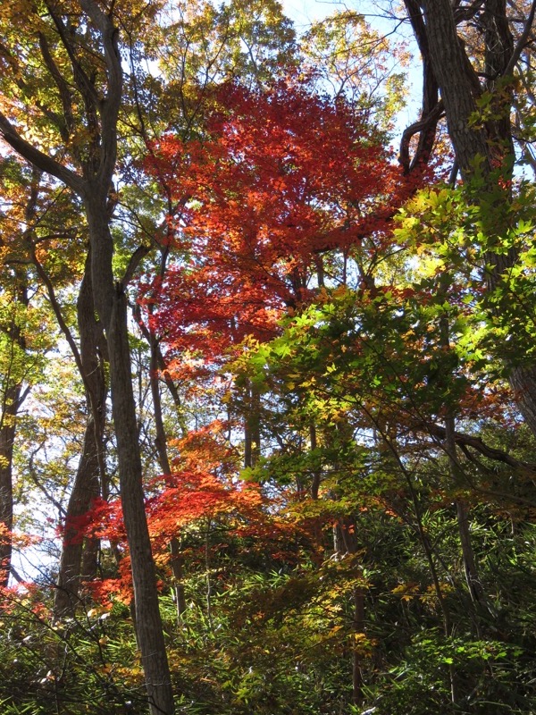 男体山〜袋田の滝