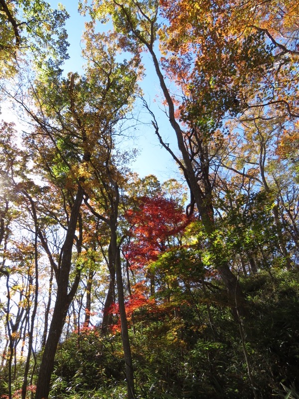 男体山〜袋田の滝