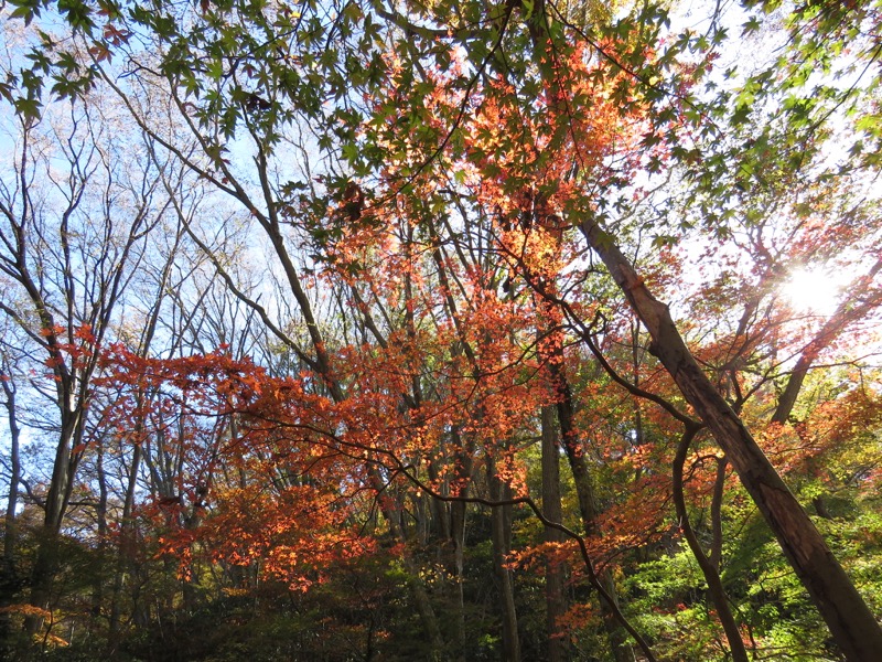 男体山〜袋田の滝