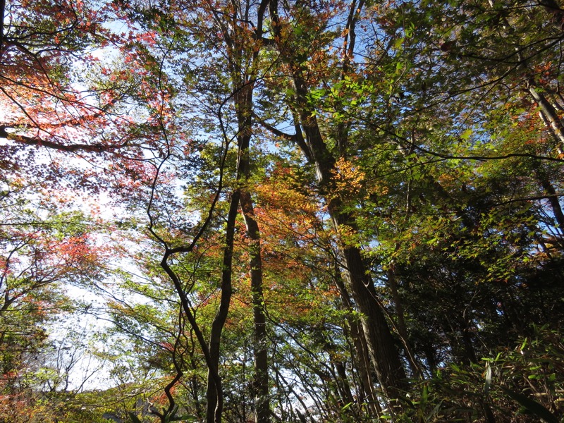 男体山〜袋田の滝