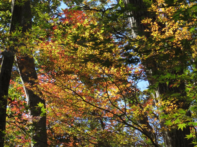 男体山〜袋田の滝