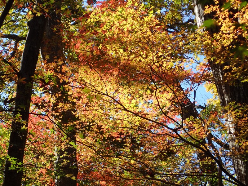 男体山〜袋田の滝