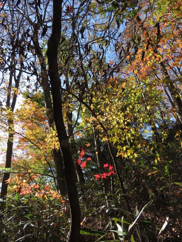 男体山〜袋田の滝