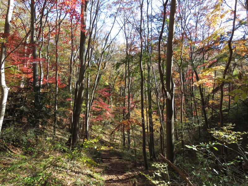 男体山〜袋田の滝