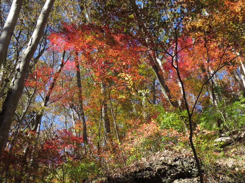 男体山〜袋田の滝