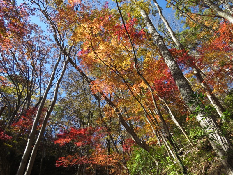 男体山〜袋田の滝