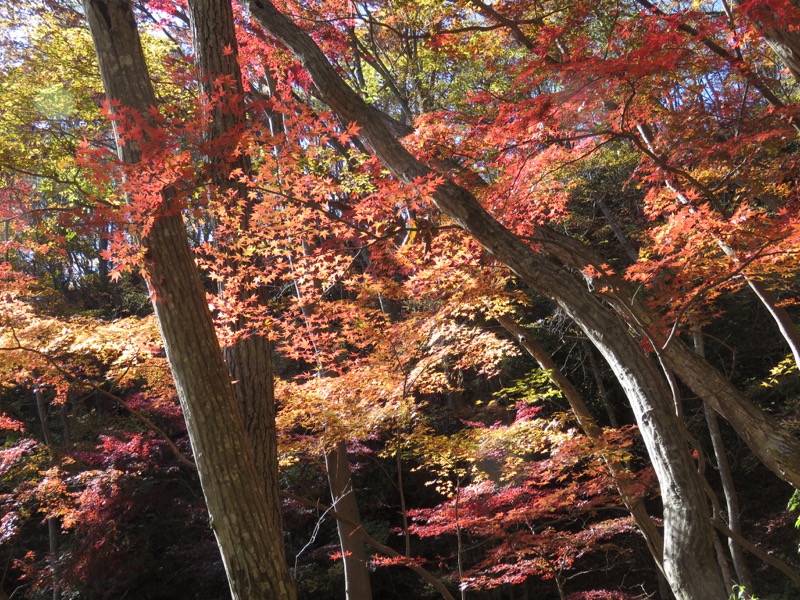 男体山〜袋田の滝