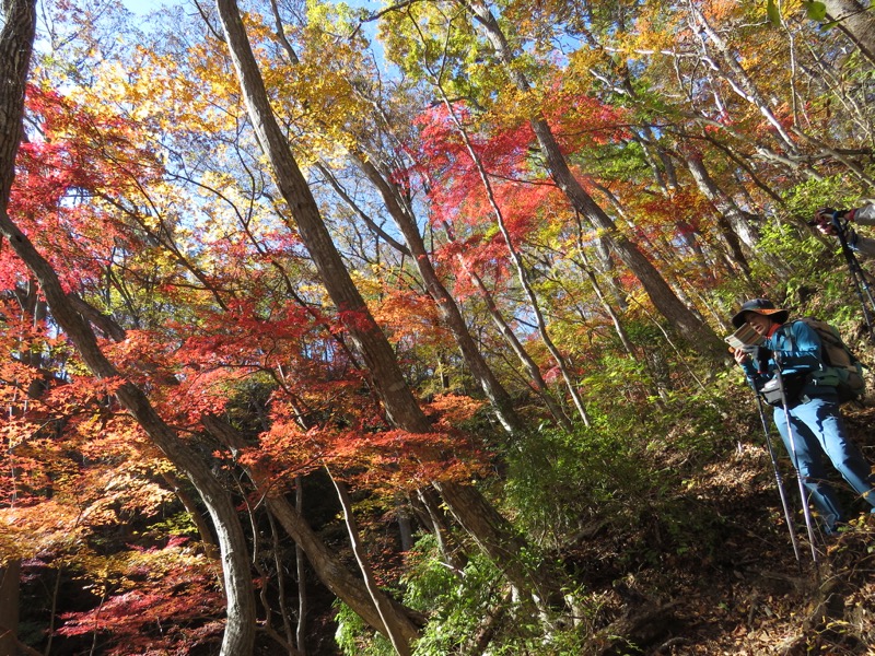 男体山〜袋田の滝