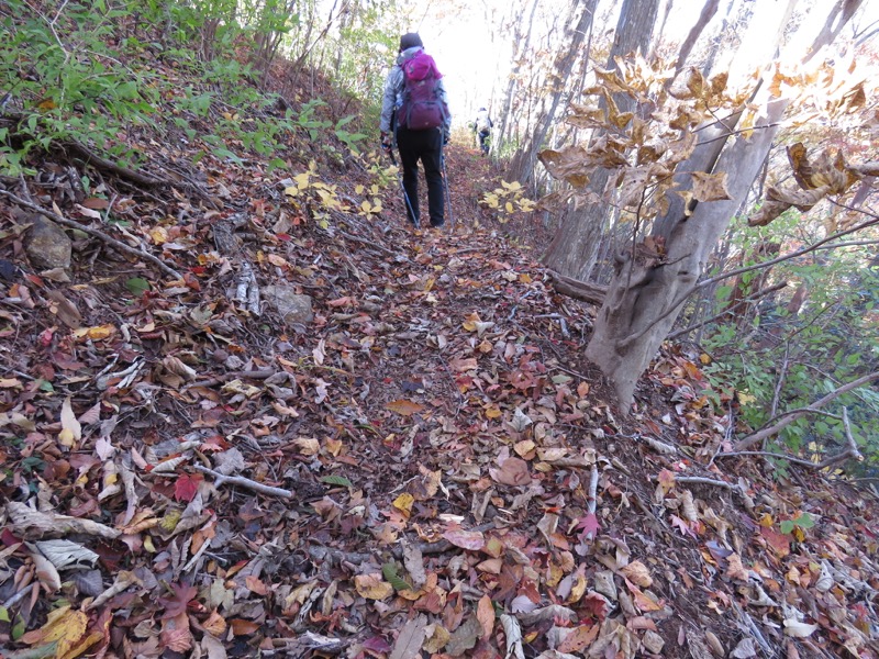 男体山〜袋田の滝