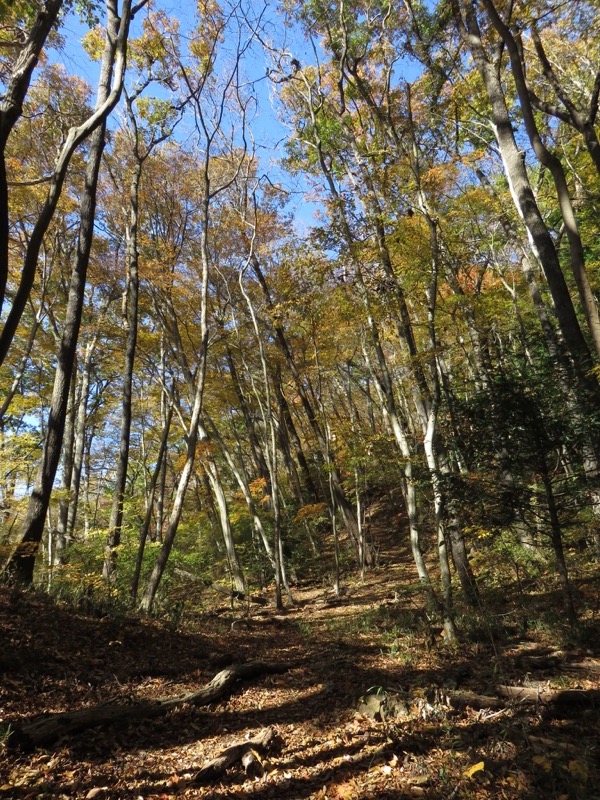 男体山〜袋田の滝