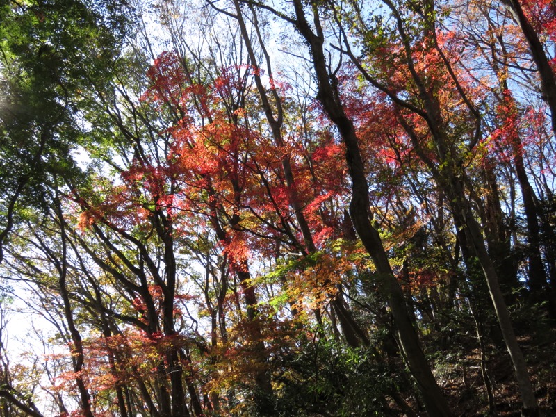 男体山〜袋田の滝