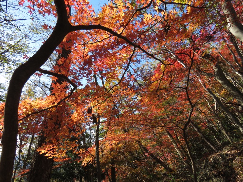 男体山〜袋田の滝