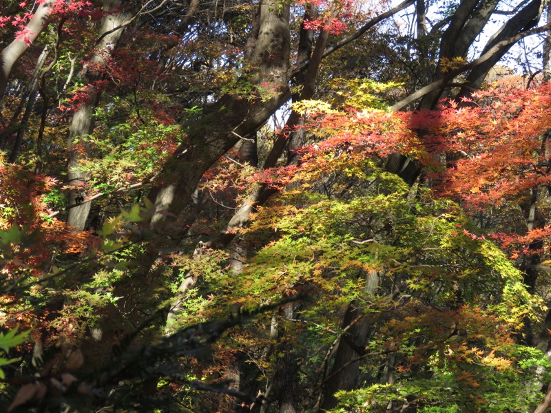 男体山〜袋田の滝