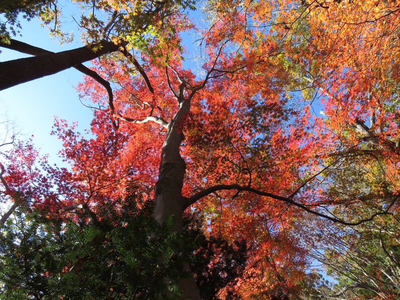 男体山〜袋田の滝