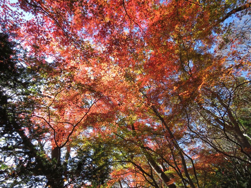 男体山〜袋田の滝