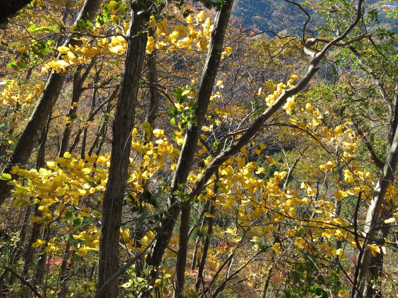 男体山〜袋田の滝