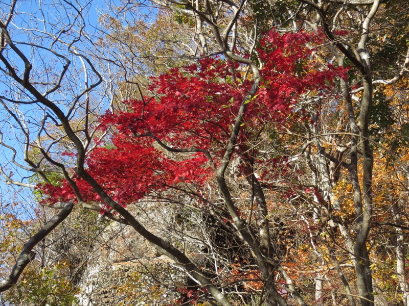 男体山〜袋田の滝