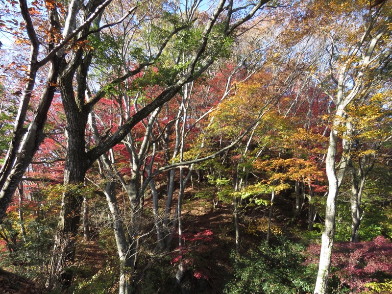 男体山〜袋田の滝