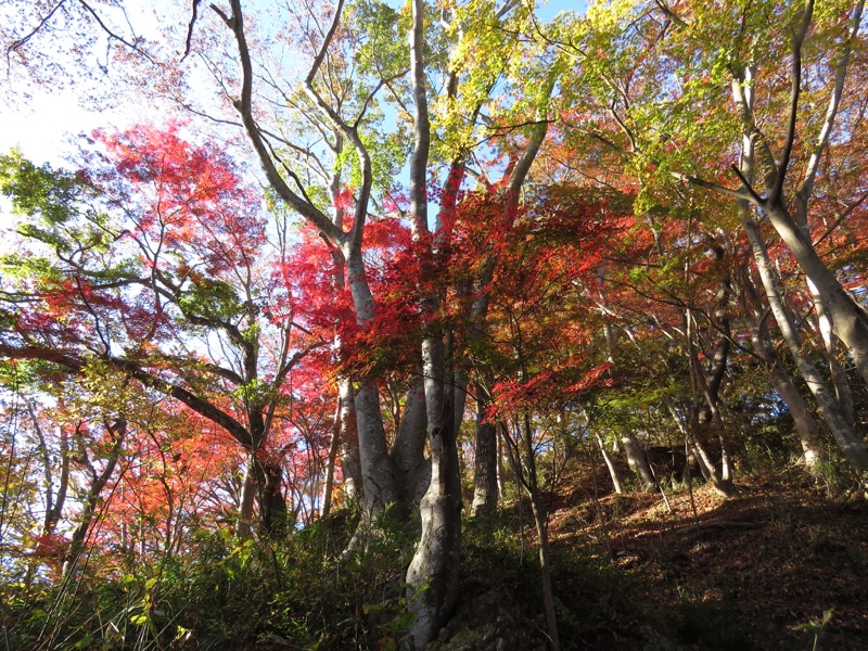 男体山〜袋田の滝