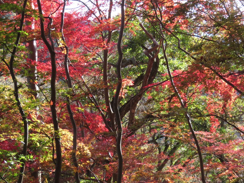 男体山〜袋田の滝