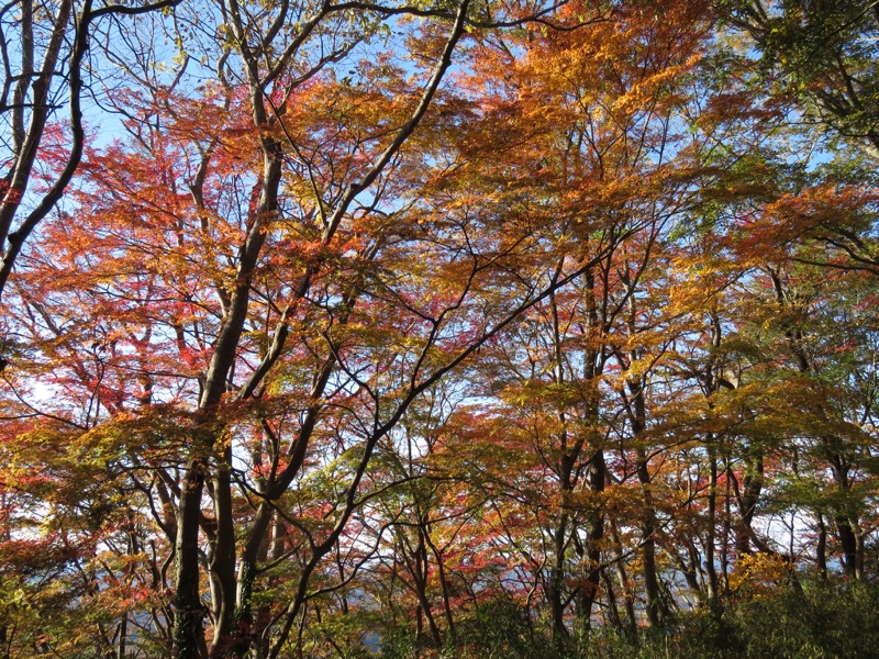 男体山〜袋田の滝