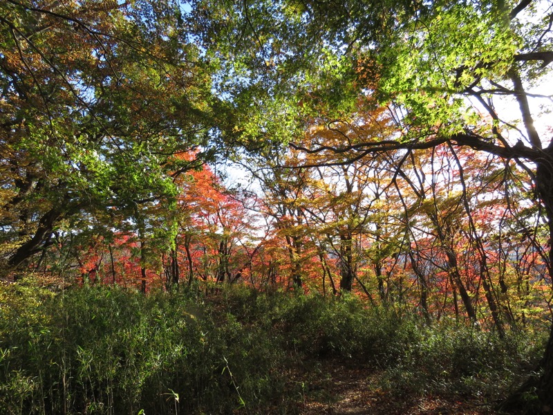 男体山〜袋田の滝