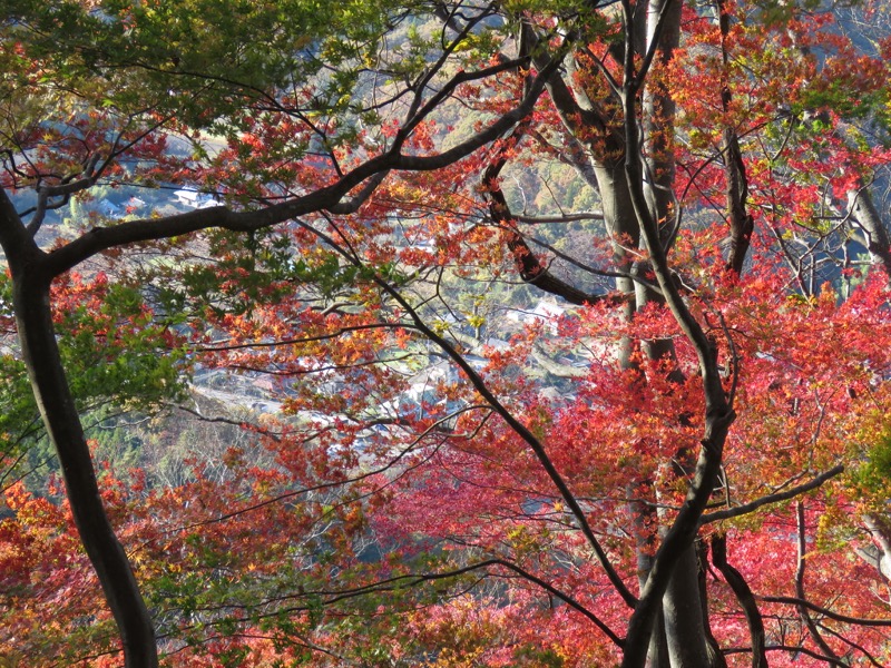 男体山〜袋田の滝