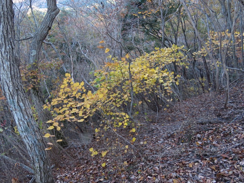 男体山〜袋田の滝