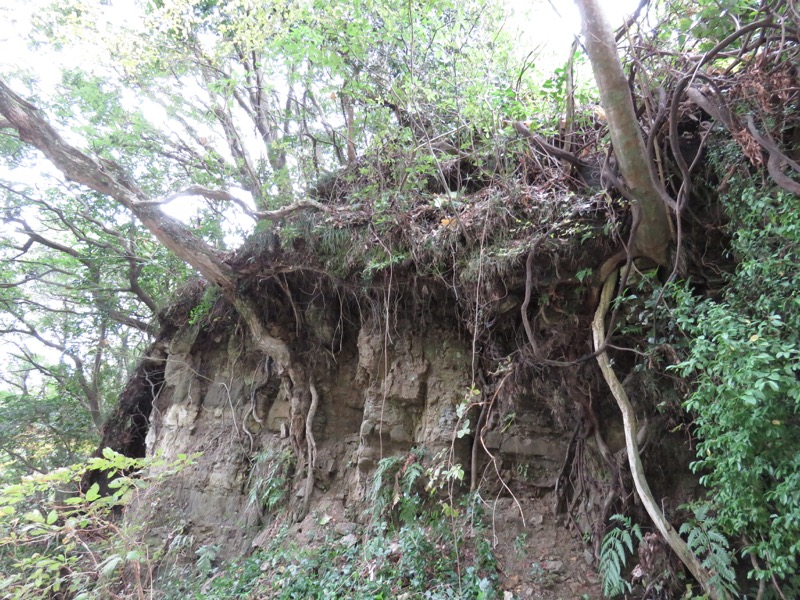 大福山登山