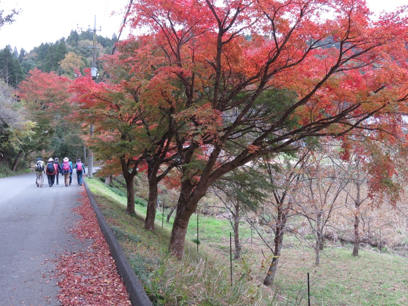 大福山登山