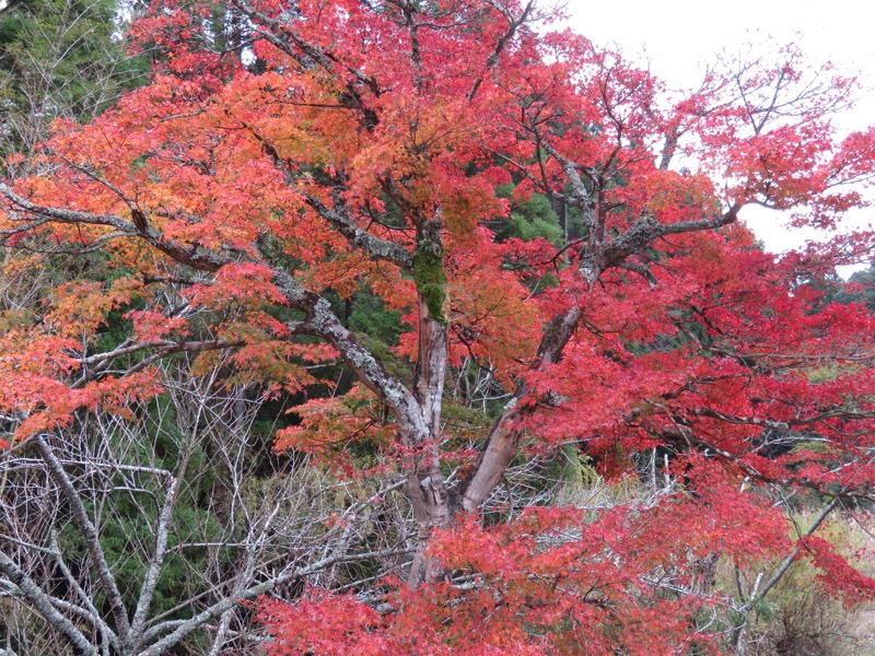 大福山登山