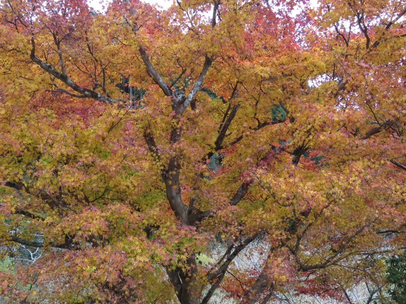 大福山登山