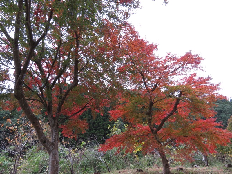 大福山登山