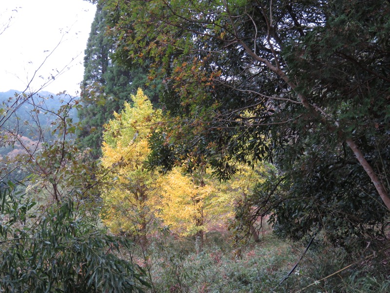 大福山登山